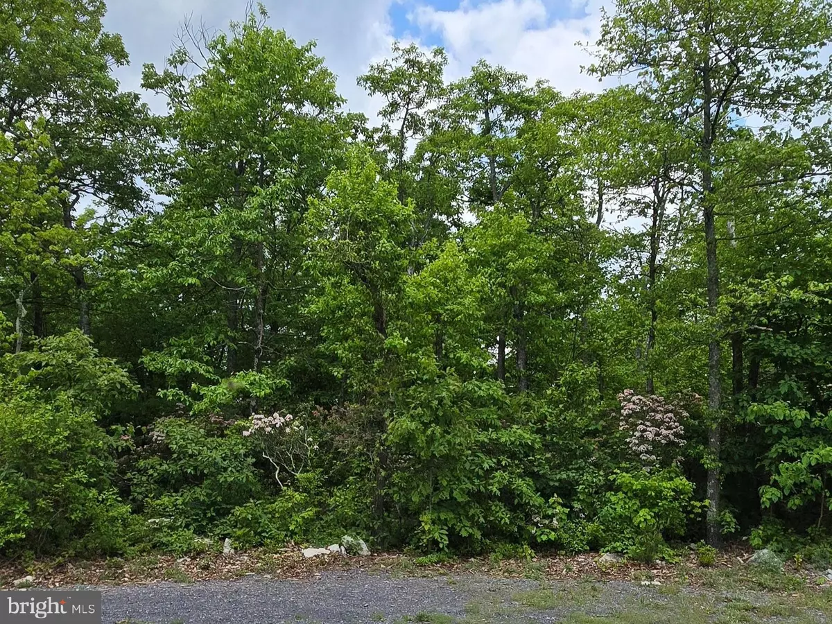 Winchester, VA 22602,LOT 75 BEAR TRAIL