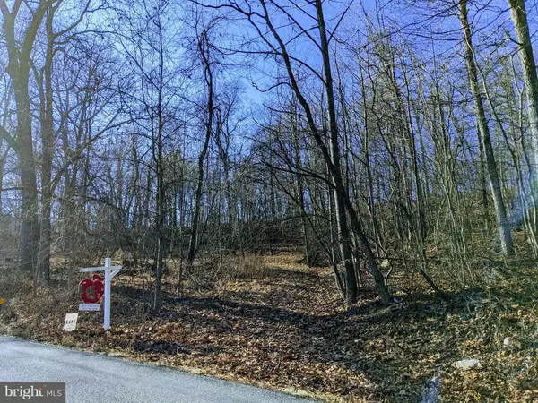 Keedysville, MD 21756,LOT 1 TREGO MOUNTAIN RD