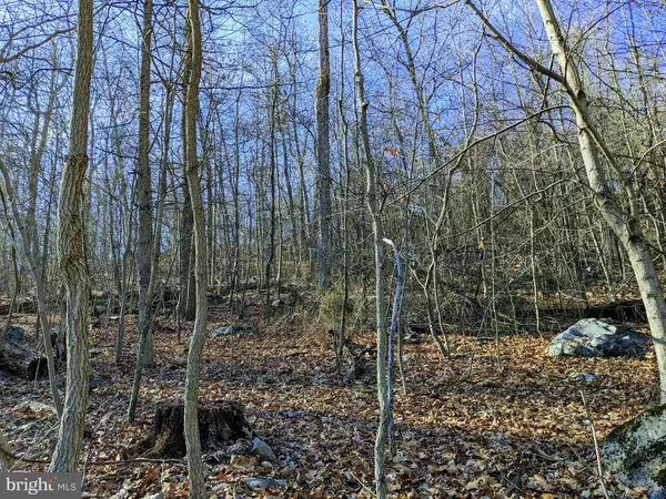 Keedysville, MD 21756,LOT 2 TREGO MOUNTAIN RD