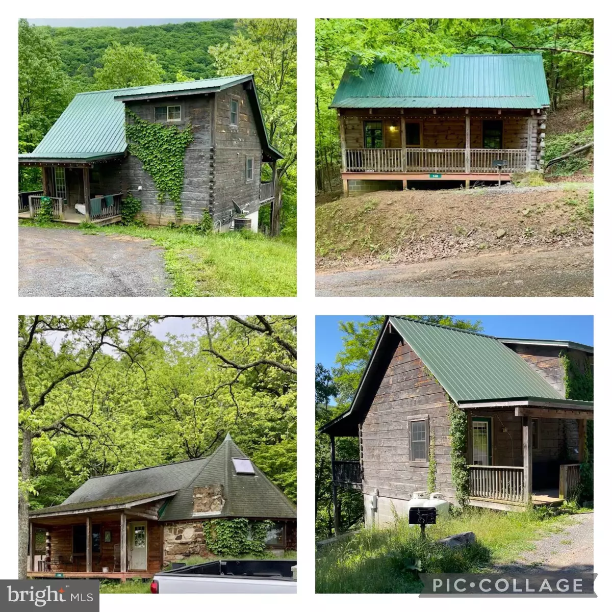 Cabins, WV 26855,219 FOX SQUIRREL LN