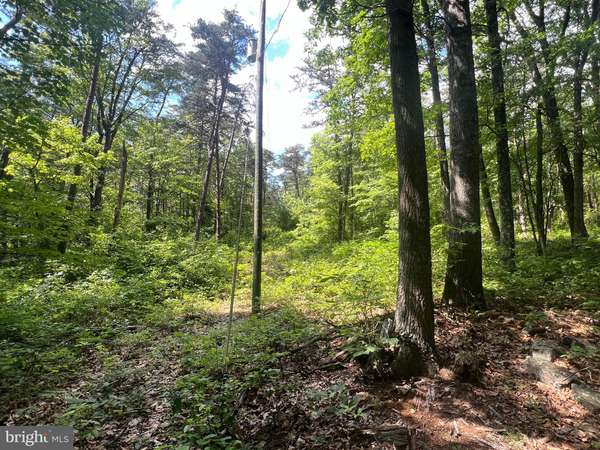 Clearville, PA 15535,LOT 20 PINE RIDGE ROAD