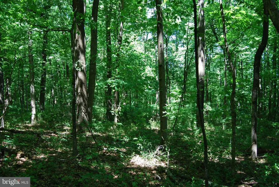 LOT 24 RUGGED TRL, Hedgesville, WV 25427