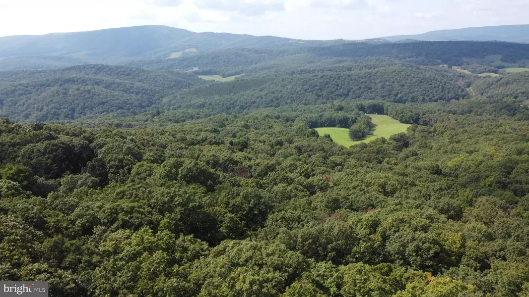 LOT 24A & 24B COVE CREEK, Baker, WV 26801