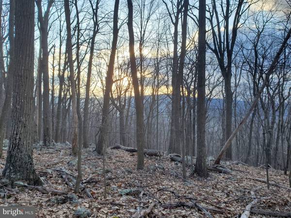 Baker, WV 26801,LOT 24A & 24B COVE CREEK