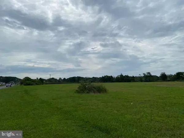 Crisfield, MD 21817,LOTS 987 & 990 LORIE C. QUINN SR. DR