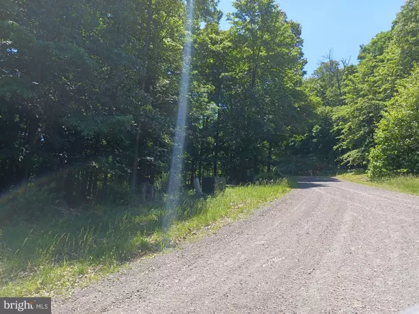 Paw Paw, WV 25434,LOT 40 WILD APPLE LN