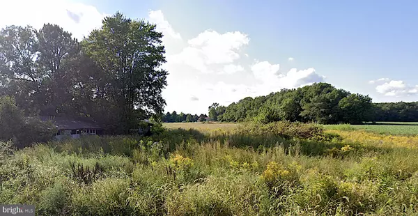 Harrington, DE 19952,7.7 VACANT LOT ANDREWVILLE RD