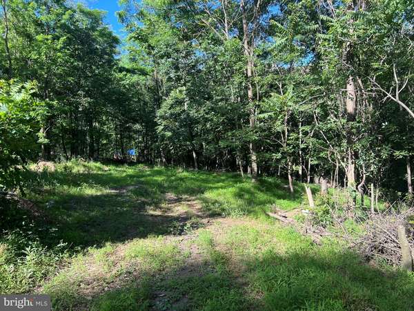 LOT 1 MAVERICK TRL, Hedgesville, WV 25427