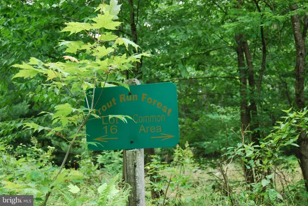 Wardensville, WV 26851,LOT 33 BROOK TROUT DR