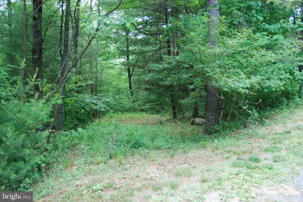 Wardensville, WV 26851,LOT 33 BROOK TROUT DR