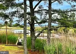 Chincoteague Island, VA 23336,3111 RIDGE RD