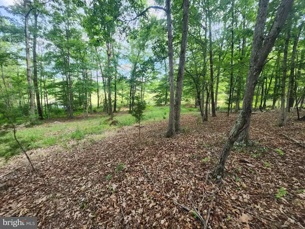 High View, WV 26808,LOT 52 JANES WAY