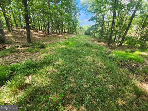 High View, WV 26808,LOT 52 JANES WAY