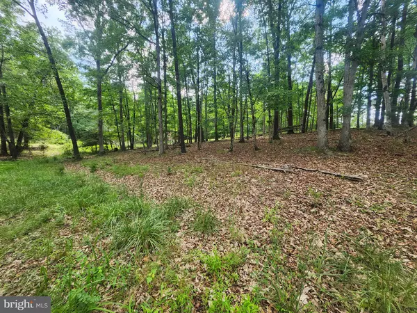 High View, WV 26808,LOT 52 JANES WAY