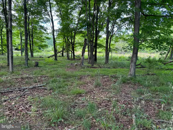 LOT 10 COON RIDGE, Scherr, WV 26726