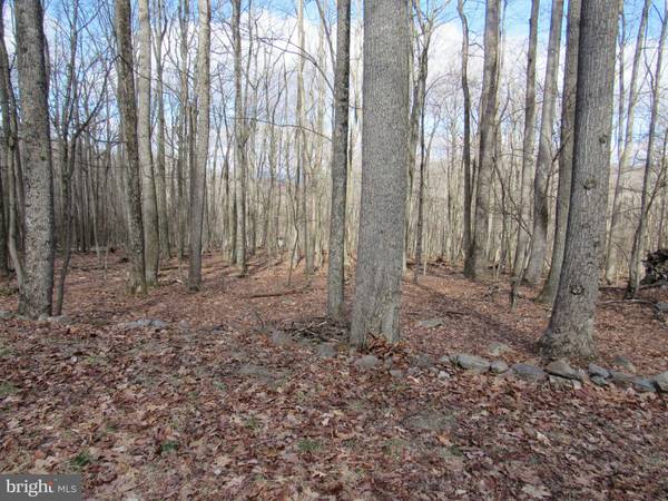 COVE RUN ACRES DR, Mathias, WV 26812