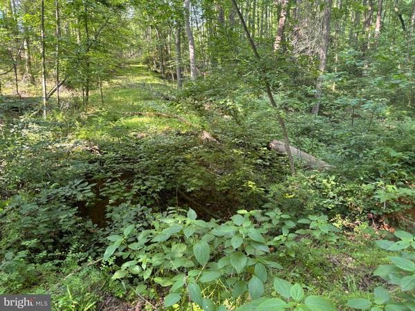 Hughesville, MD 20637,17012 PRINCE FREDERICK RD #LOT 7