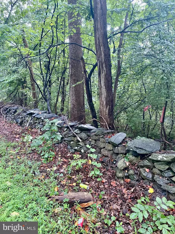 Bluemont, VA 20135,BLUERIDGE MOUNTAIN LOT 2 RD