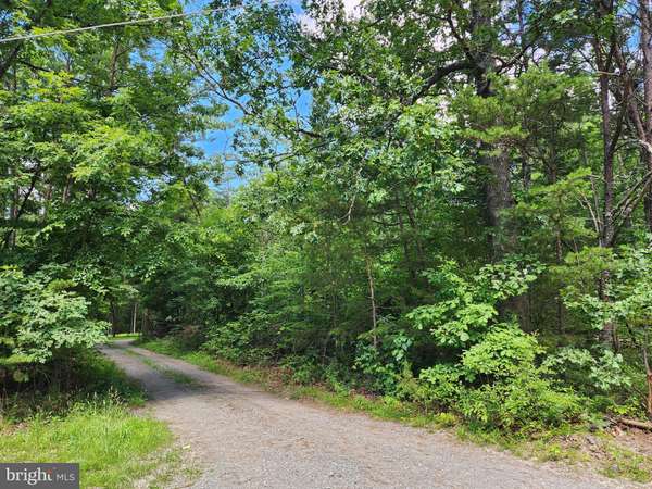 LOT 1 WALNUT SHADE ROAD, Louisa, VA 23093