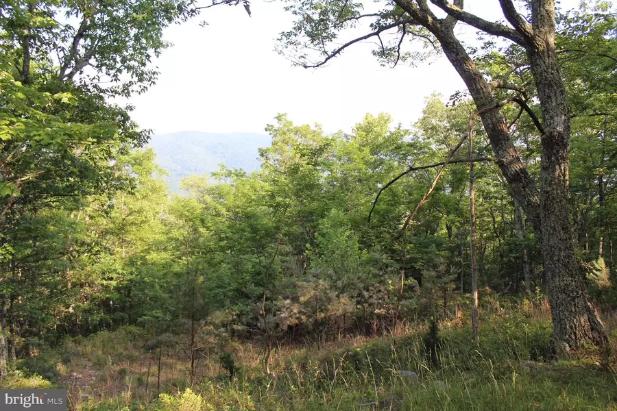 LOT #40W HIGH VALLEY DRIVE NORTH, Franklin, WV 26807