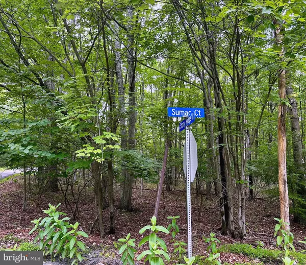 Kunkletown, PA 18058,500 SUMAC (FORMERLY LITTLE CT) CT