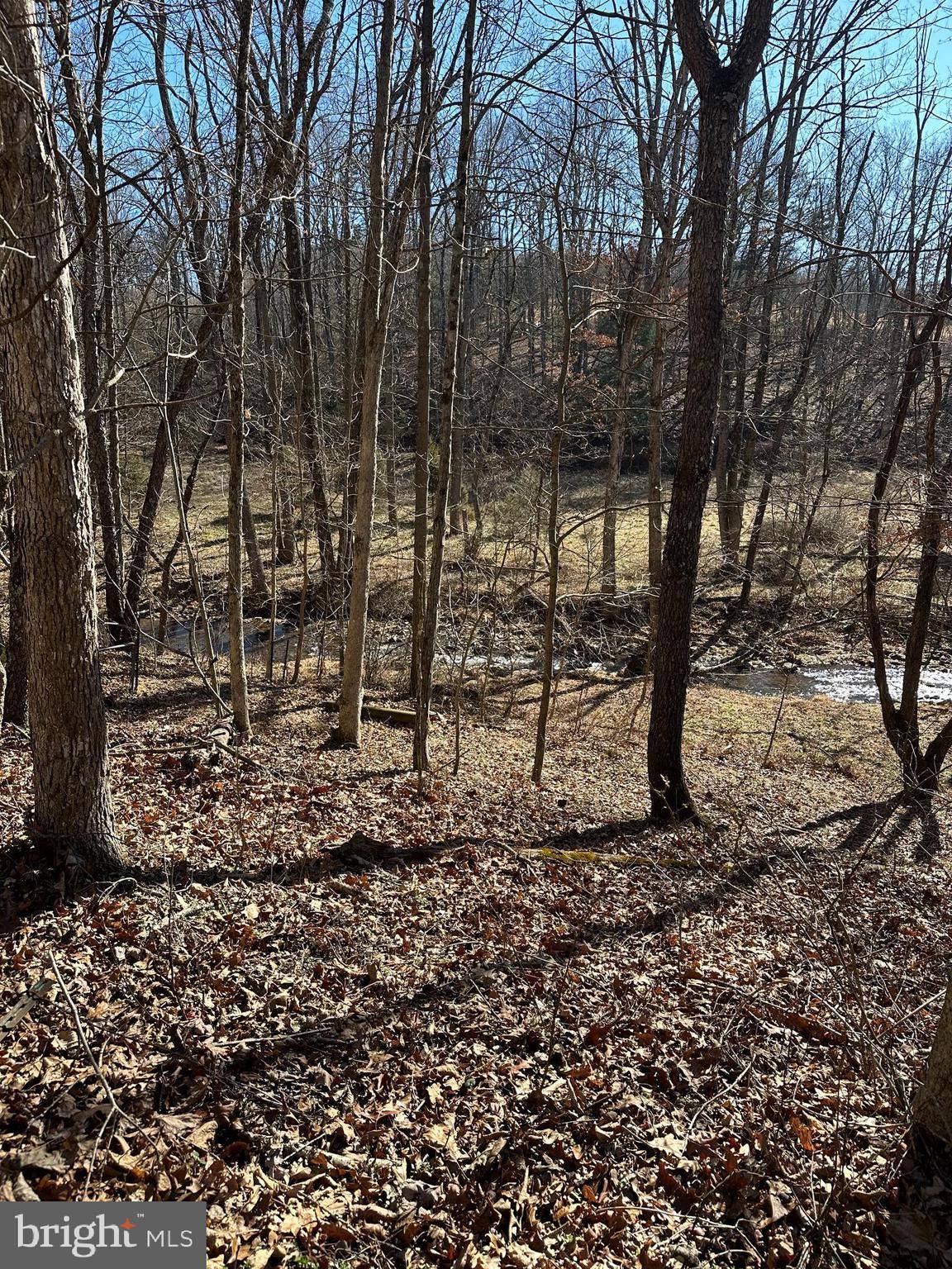 340 MAGNOLIA RD, Great Cacapon, WV 25422