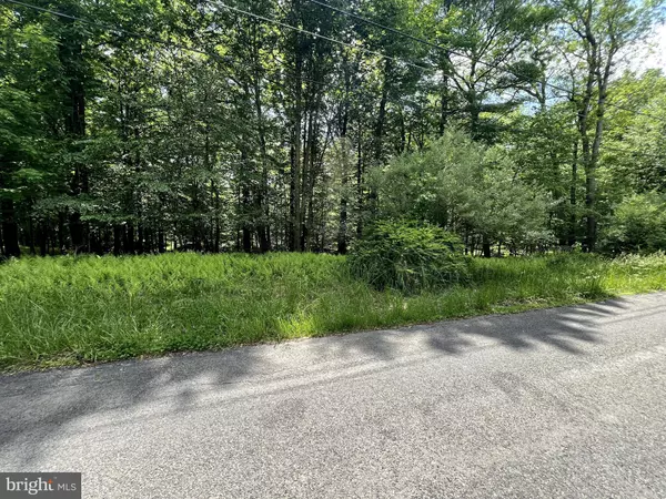 Bushkill, PA 18324,LOT 151 POCONO MOUNTAIN LAKE DR