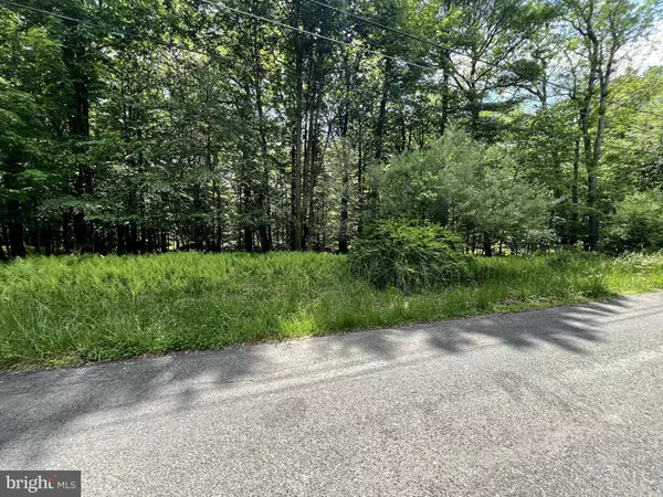 Bushkill, PA 18324,LOT 151 POCONO MOUNTAIN LAKE DR