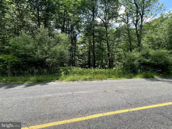 LOT 151 POCONO MOUNTAIN LAKE DR, Bushkill, PA 18324