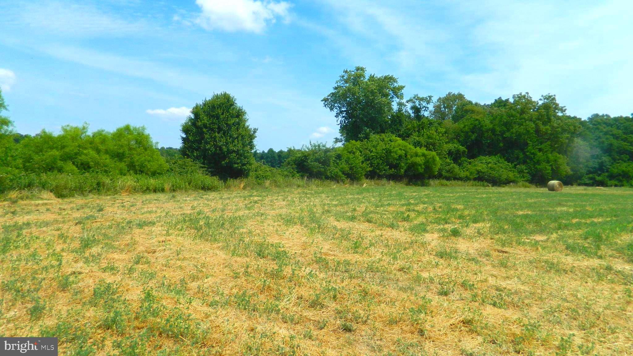 Federalsburg, MD 21632,LAUREL GROVE
