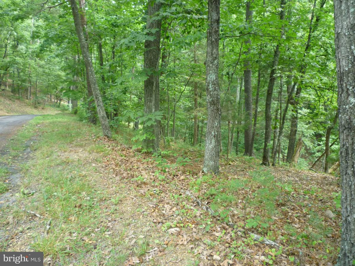 Basye, VA 22810,LOT 106 PALMER ROAD