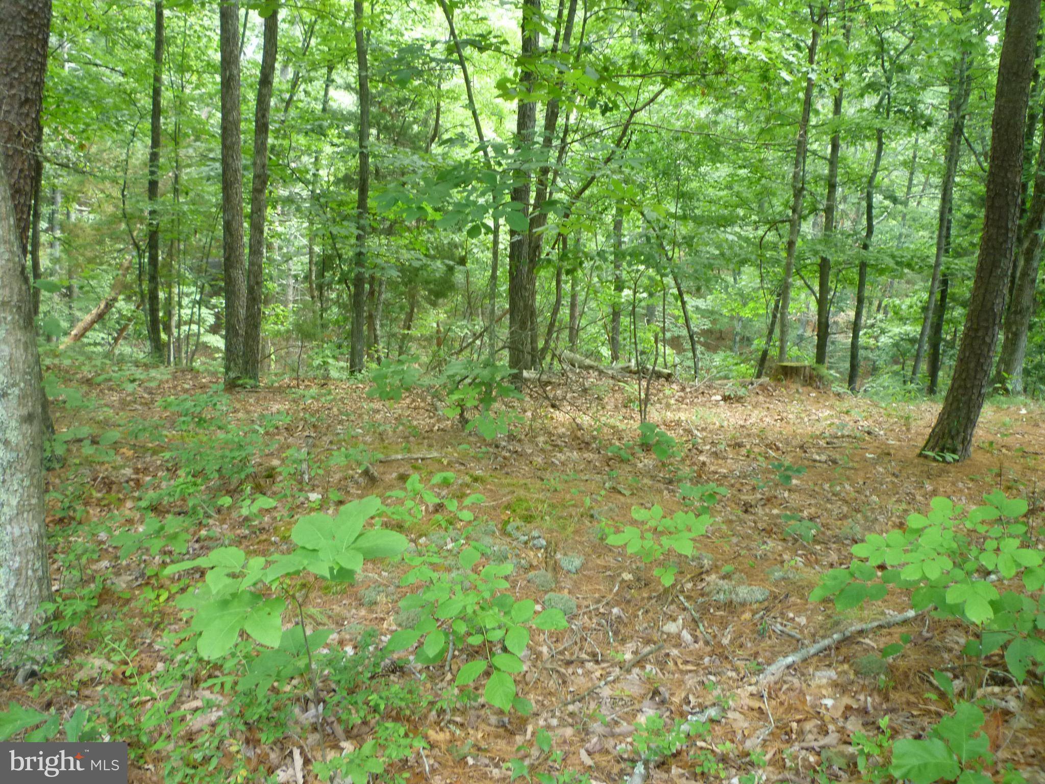 Basye, VA 22810,LOT 106 PALMER ROAD