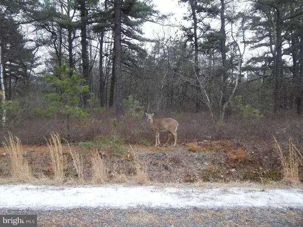Hazleton, PA 18202,42 CHIPPEWA DR #LOT 163 WSS