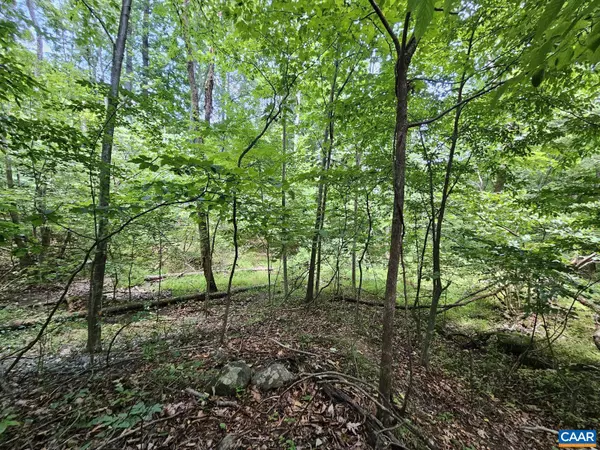 Stanardsville, VA 22973,TBD LOT 18 FARMVIEW RD #18