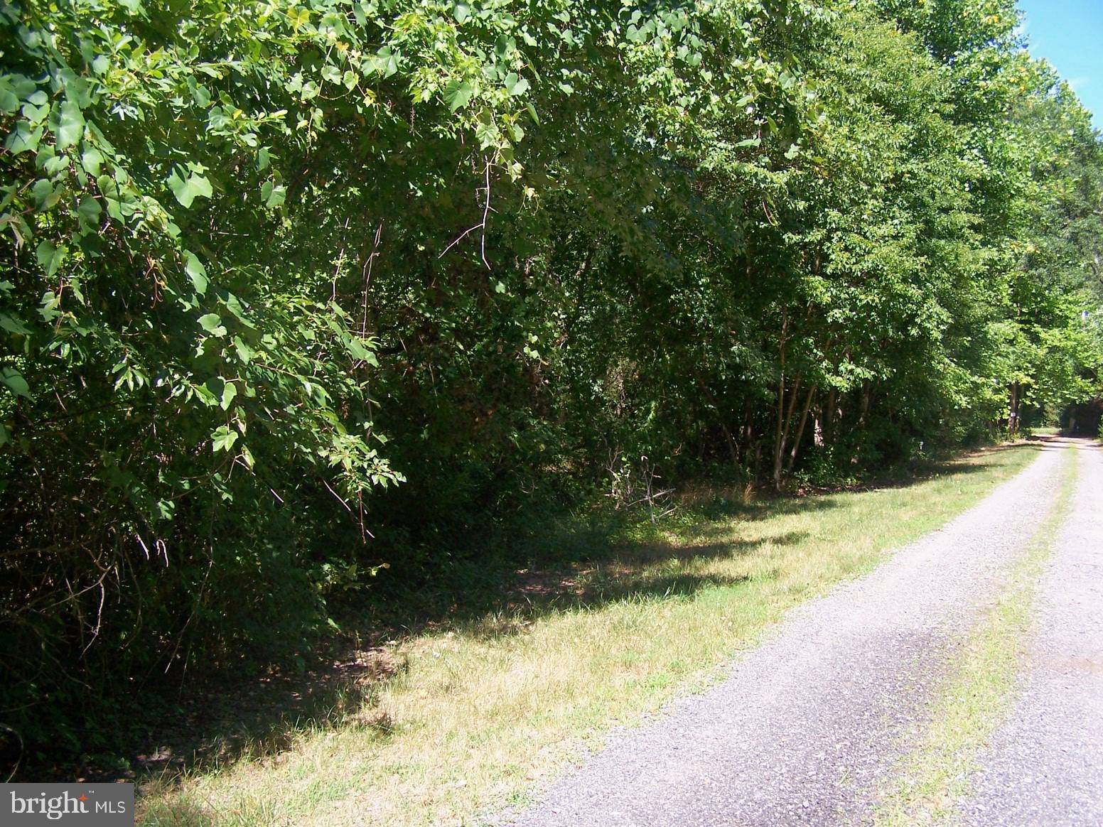 Seaford, DE 19973,LOT 2 CAT BOAT ALLEY