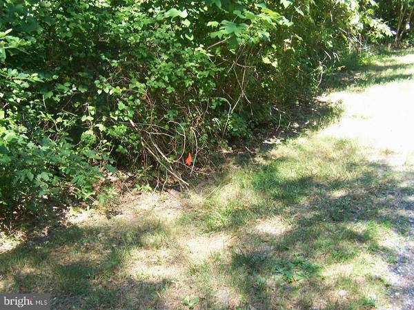 LOT 2 CAT BOAT ALLEY, Seaford, DE 19973