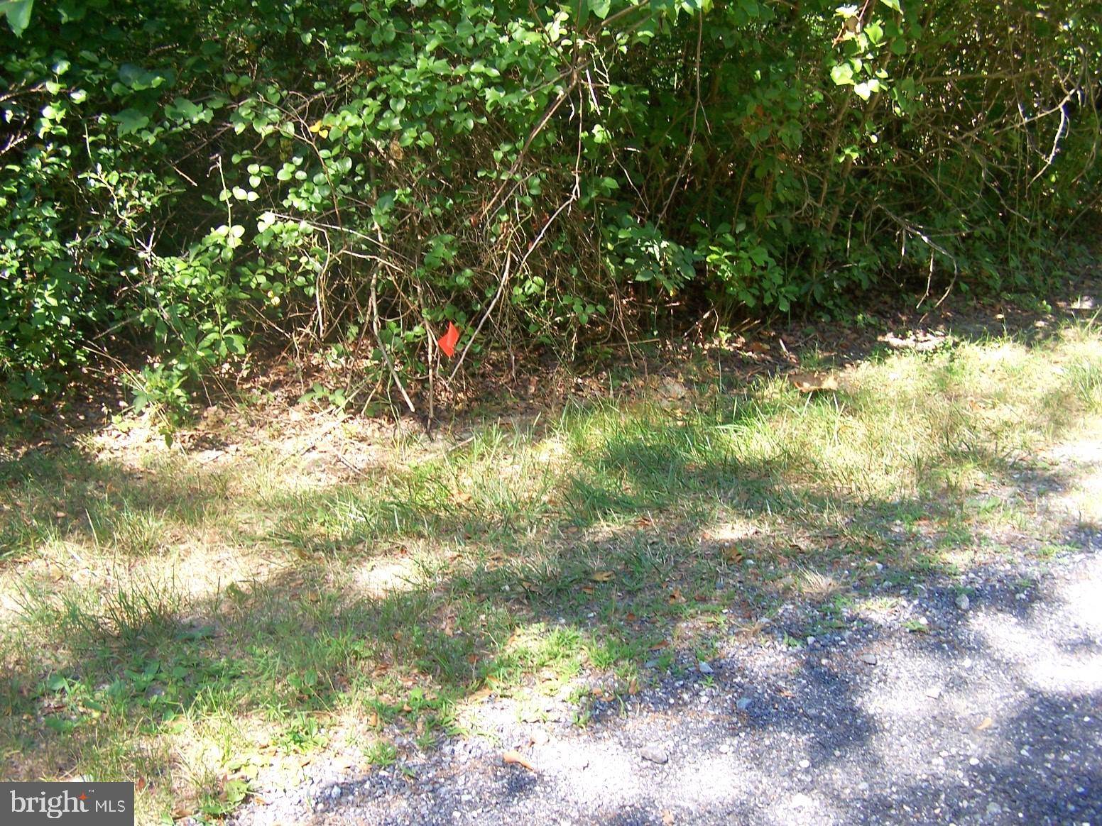 Seaford, DE 19973,LOT 2 CAT BOAT ALLEY