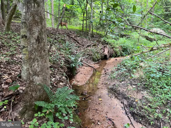 Alberta, VA 23821,0 MASONS MILL RD