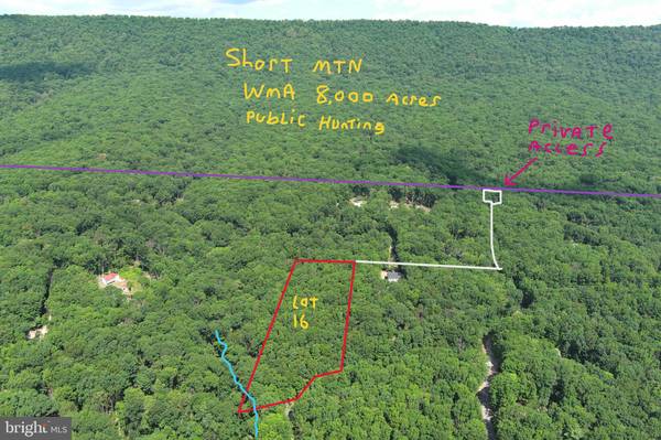 LOT # 16 NORTH RIVER WILDERNESS, Delray, WV 26714