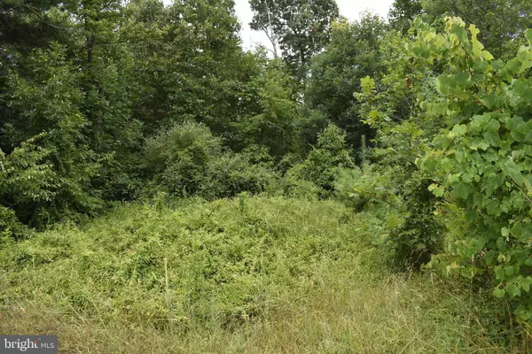 Warfordsburg, PA 17267,MCKEES GAP - LOT #7