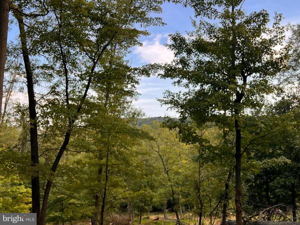 LOTS 20 & 21 FAWN RUN LANE SLEEPY HOLLOW, Hedgesville, WV 25427