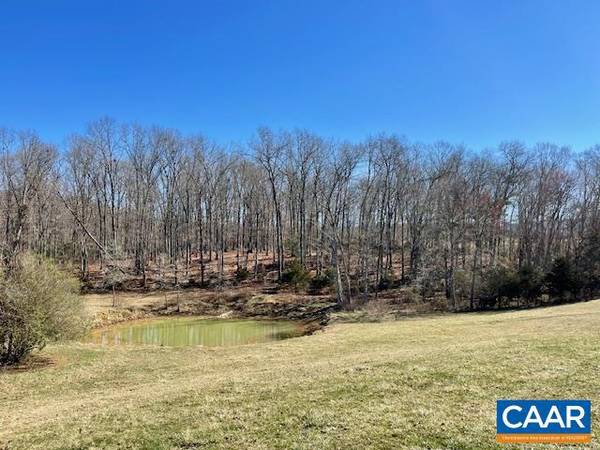 Elkton, VA 22827,85AC RED BRUSH RD #85 ACRES