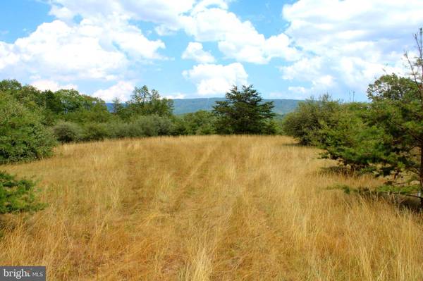 10 AC SEA BISCUIT DR, Levels, WV 25431