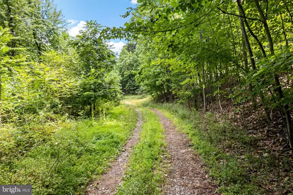 Hedgesville, WV 25427,LOT 7 PANTHER LANE