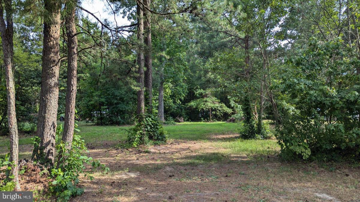 Montross, VA 22520,LOT 34 WATERWAY DRIVE