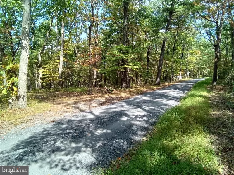 SUPINLICK RIDGE RD, Mount Jackson, VA 22842