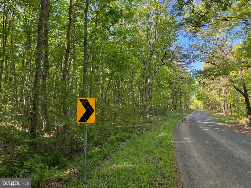 0 COVERED BRIDGE RD, Kents Store, VA 23084