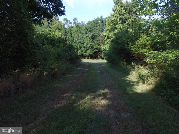 Mineral, VA 23117,LOT 433 DECATUR LN