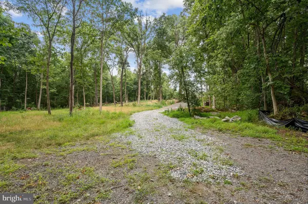 Berryville, VA 22611,ROCK HALL - LOT 4