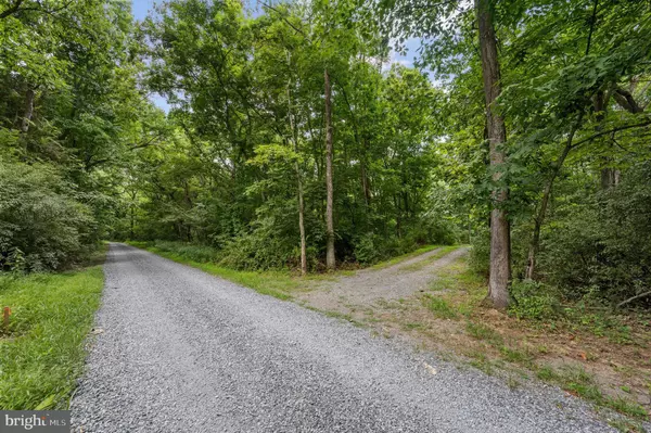 Berryville, VA 22611,ROCK HALL - LOT 4